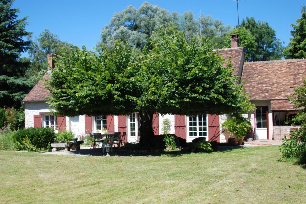 La Petite Marguerite Bed and Breakfast Chitenay Buitenkant foto