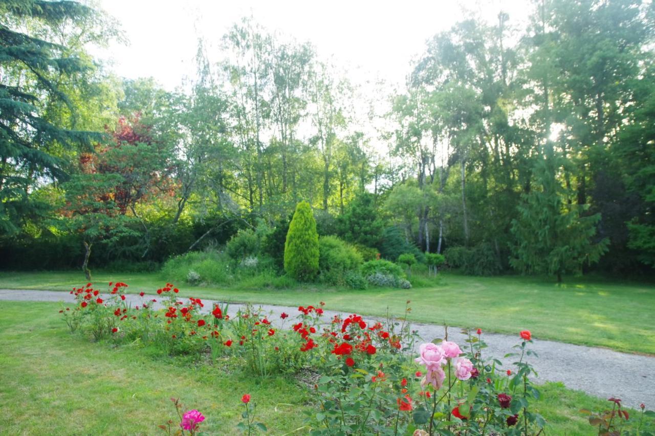 La Petite Marguerite Bed and Breakfast Chitenay Buitenkant foto