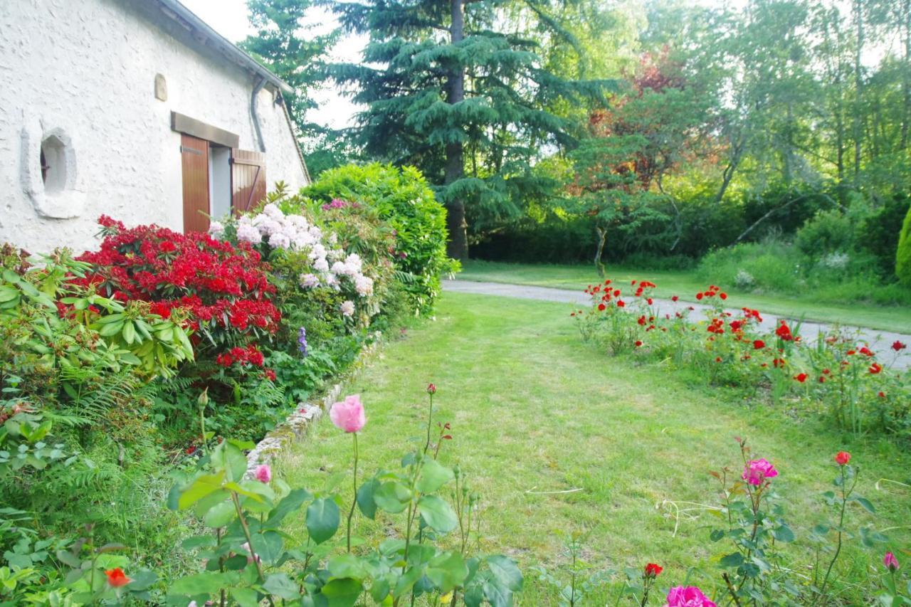 La Petite Marguerite Bed and Breakfast Chitenay Buitenkant foto