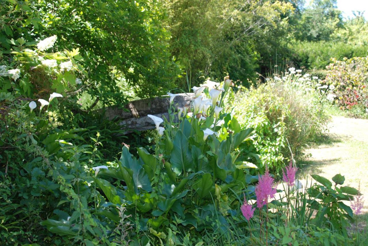 La Petite Marguerite Bed and Breakfast Chitenay Buitenkant foto