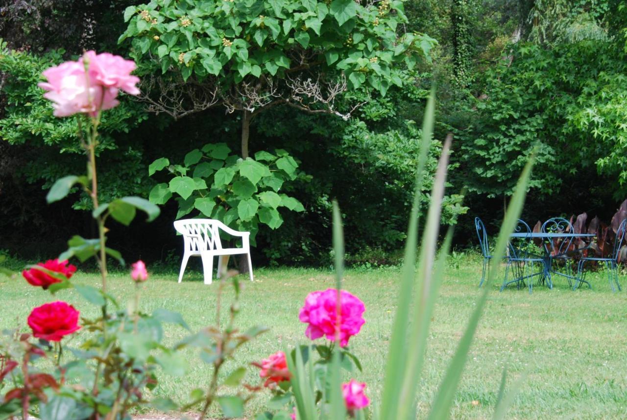 La Petite Marguerite Bed and Breakfast Chitenay Buitenkant foto