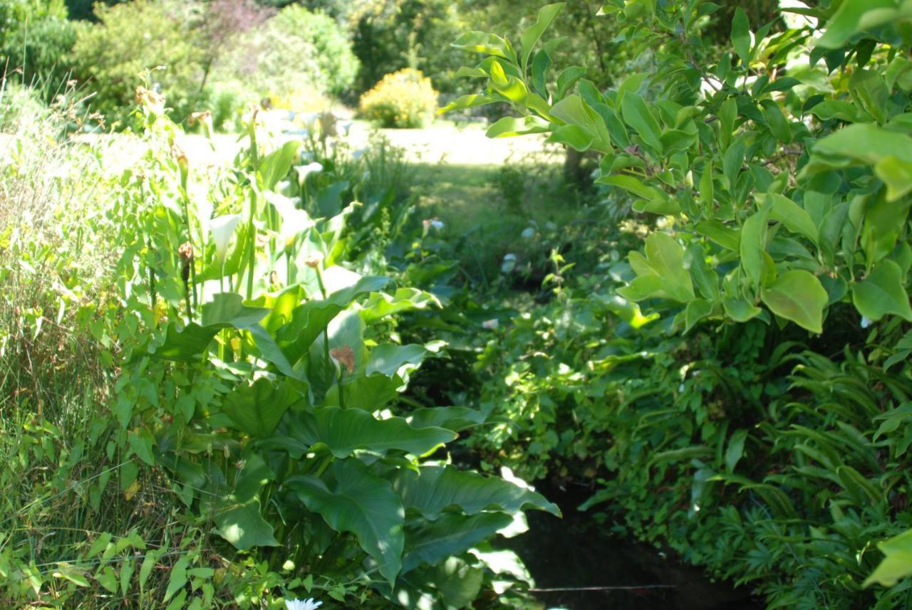 La Petite Marguerite Bed and Breakfast Chitenay Buitenkant foto